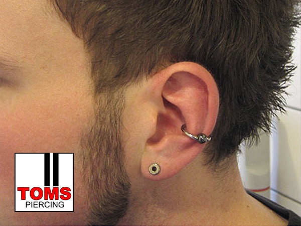 Conchpiercing6.jpg